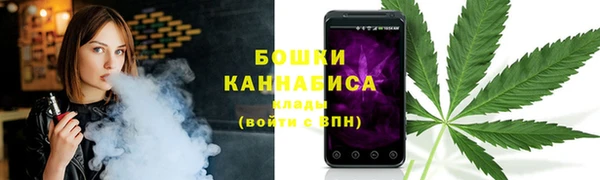 амф Богородск