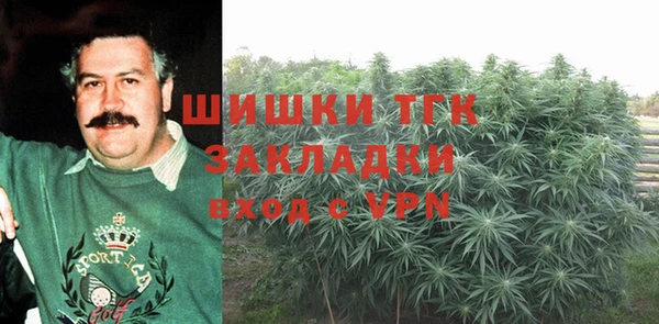 гашик Балахна
