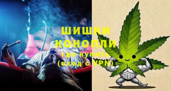 крисы Богданович