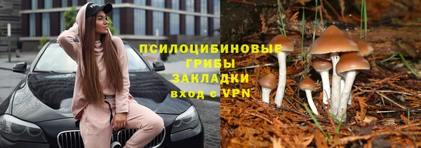 крисы Богданович
