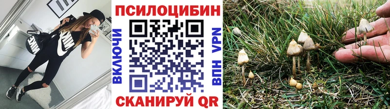 где купить наркоту Белёв Псилоцибиновые грибы мицелий